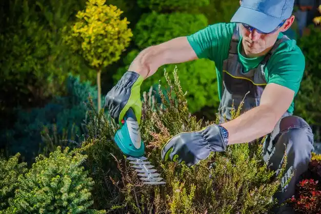 landscaping services Scottsville